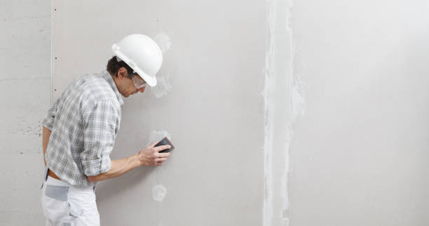 Best Post-Construction Mold Inspection  in Wolcott, IN