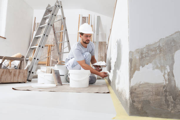 Mold Remediation for Rental Properties in Wolcott, IN