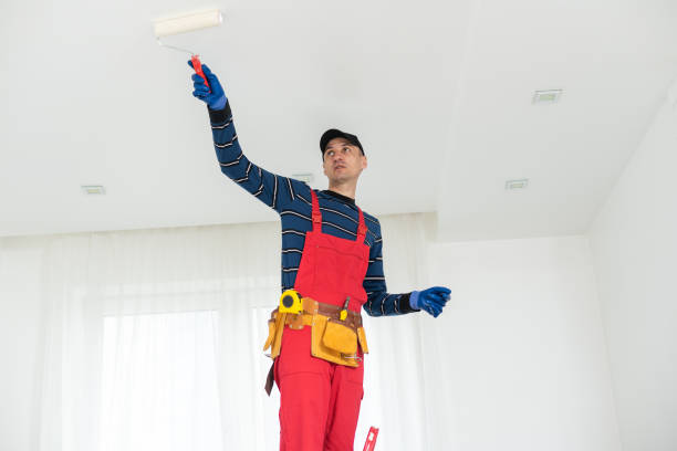 Reliable Wolcott, IN Mold Removal Solutions