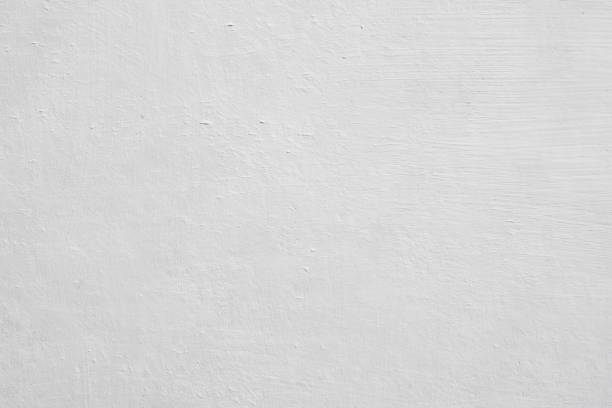 Best Black Mold Removal  in Wolcott, IN