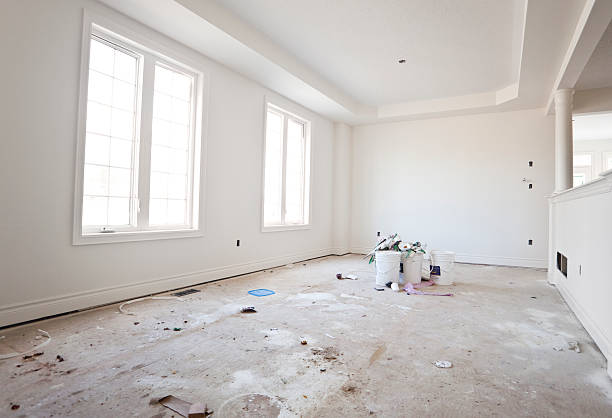 Best Mold Odor Removal Services  in Wolcott, IN