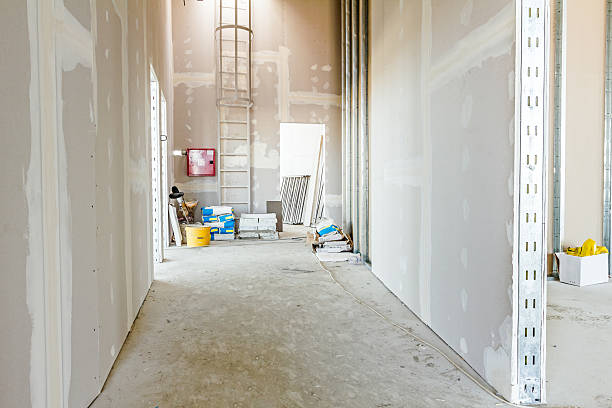 Best Emergency Mold Remediation  in Wolcott, IN