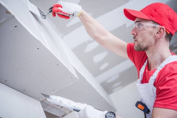 Best Real Estate Mold Inspection  in Wolcott, IN